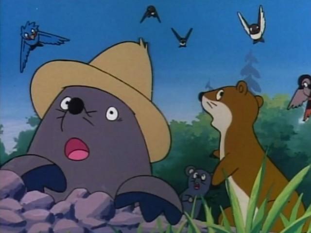 The Wren and the Bear