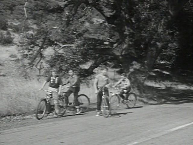 Bike Road-EO