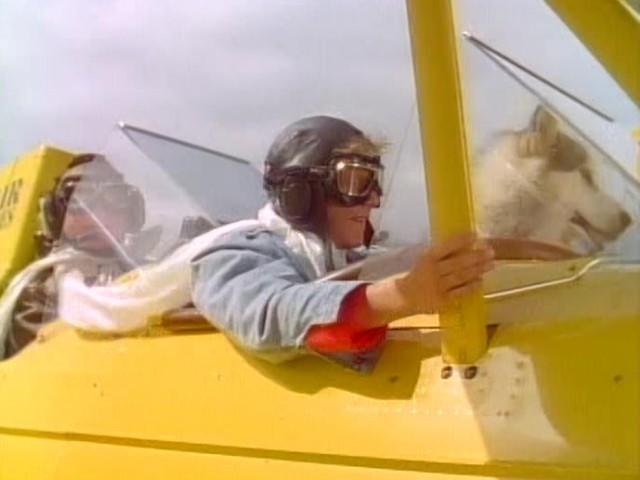 The Last Flight