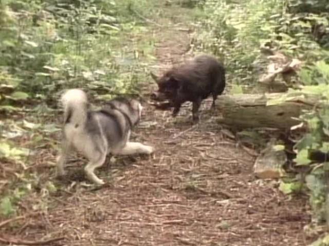 Matter of Trust