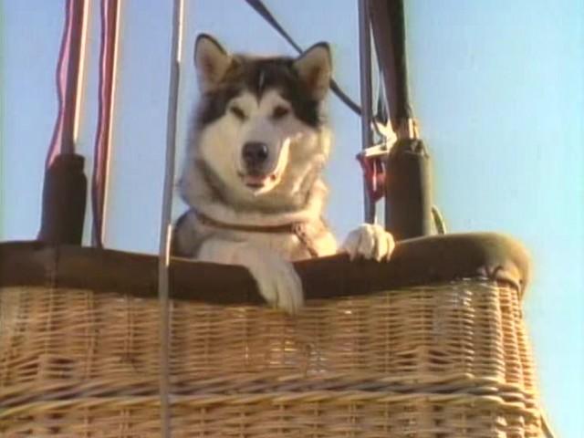 Up, Up and Away