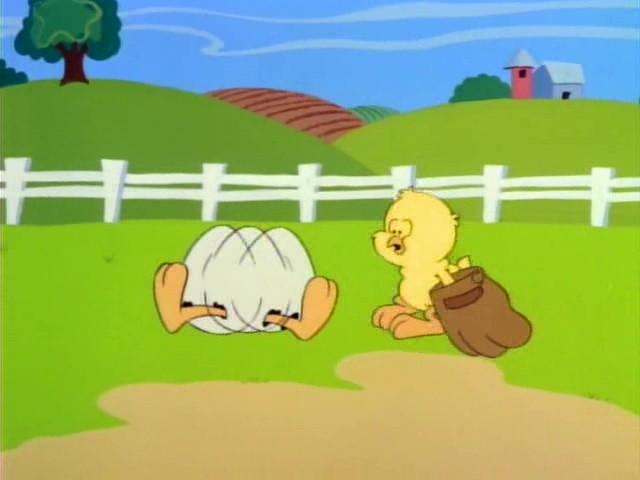 Shell Shocked Sheldon