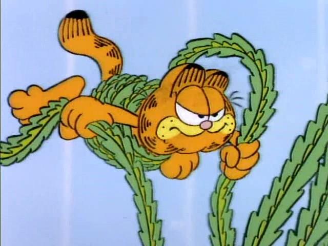 One Good Fern Deserves Another