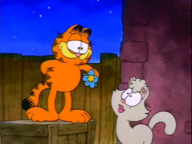 The Guy of Her Dreams