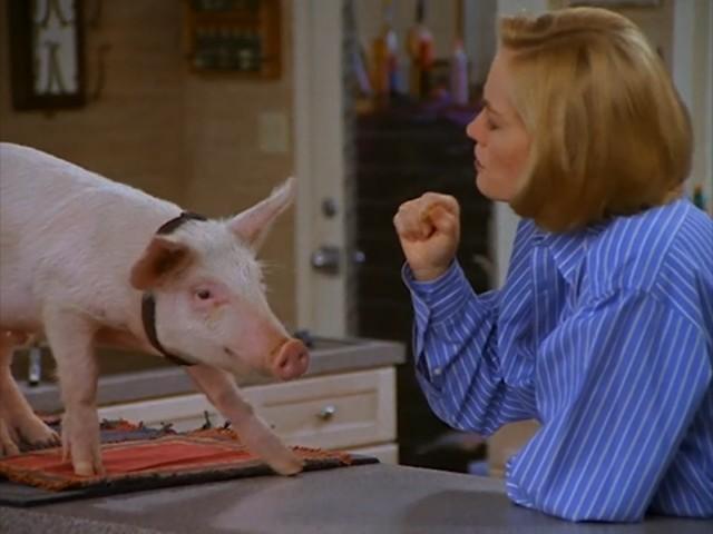 Bringing Home the Bacon