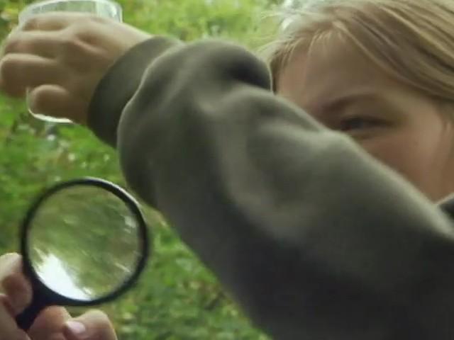 Natur erforschen und schützen