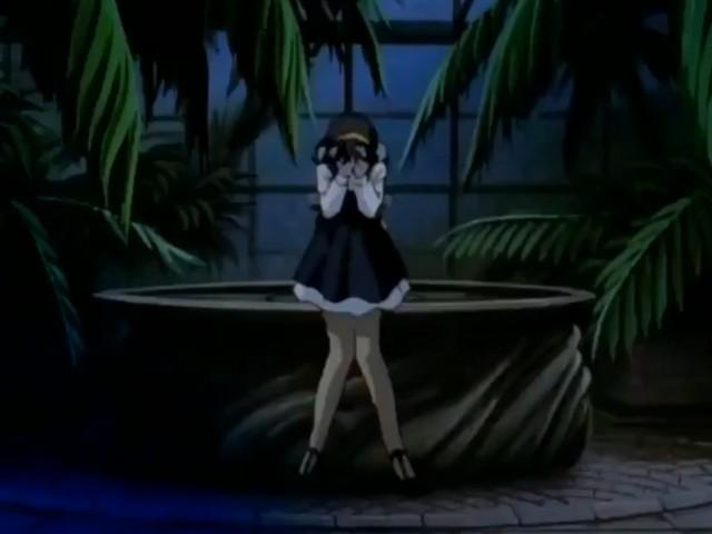 鱗翅の蟲惑
