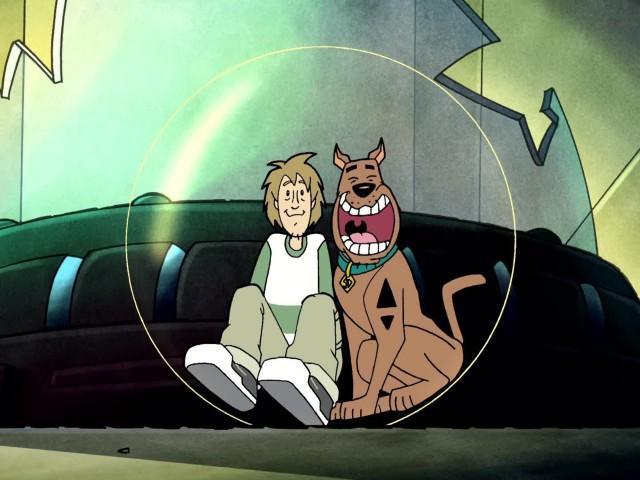 El perro maravilla