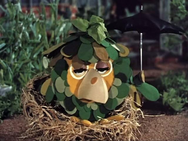 Sage's Nest Blows Down