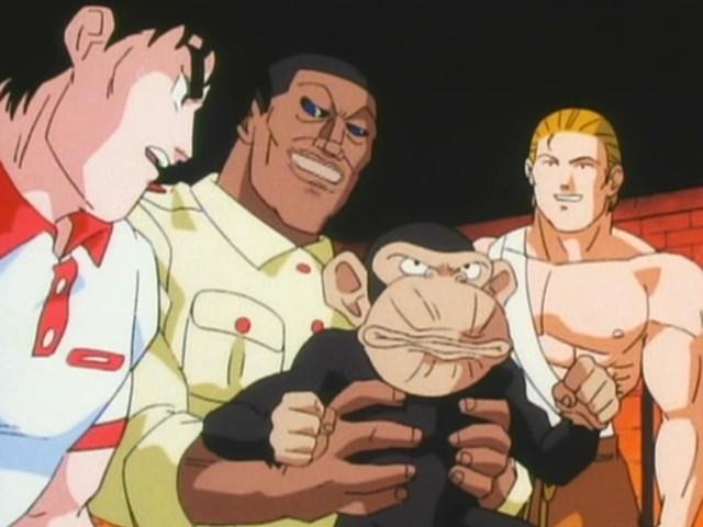 The Mysterious Organization Cerberus