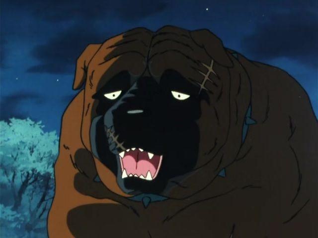 Patience Dog! The Dark Shadow of the Iga Village!