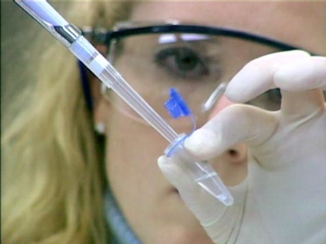 Blindes Vertrauen | Ein verhängnisvoller Irrtum | Tödliche Versicherung | Mord mit Verspätung | Die Videofalle