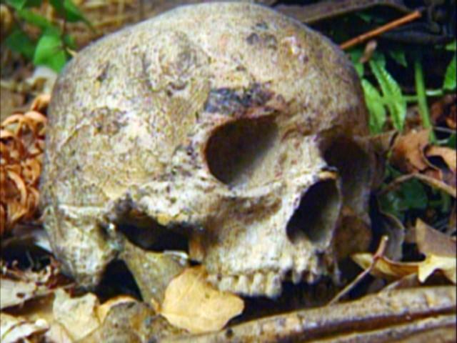 Das letzte Telefonat | Die Totenköpfe aus dem Stanley Park | Das Geschenk des Killers