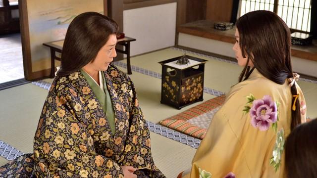 Tokugawa's Daughter-in-Law (Tokugawa no yome)