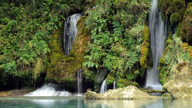 Wild Balkans
