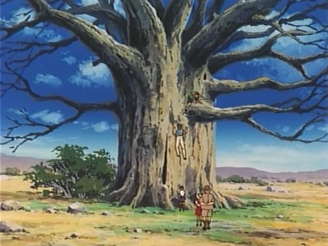 Il grande baobab