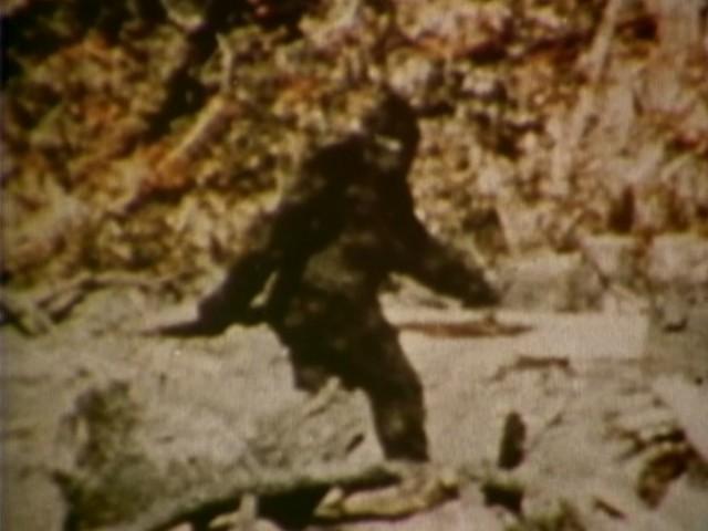 Bigfoot