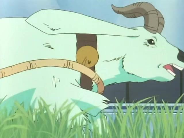 ヤギと人質? ふってわいたお食事会