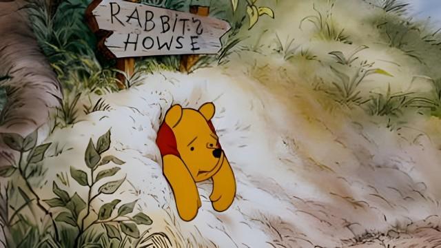 Stuck at Rabbit's House