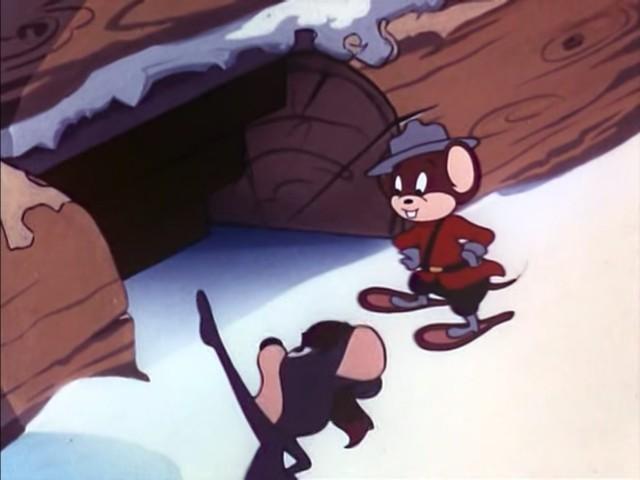 Northwest Mousie