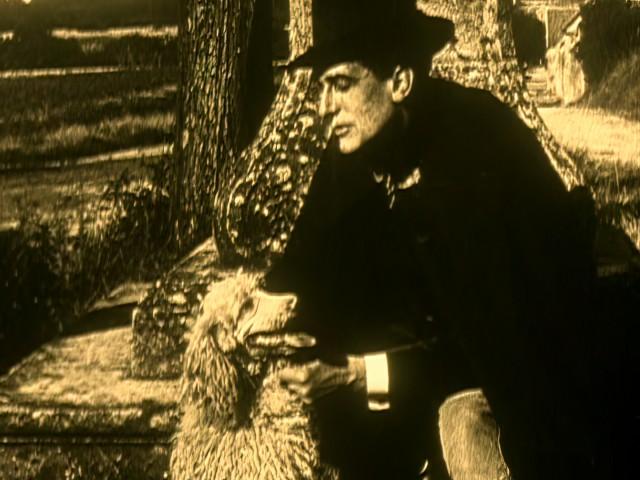 The Fantastic Dog Pack