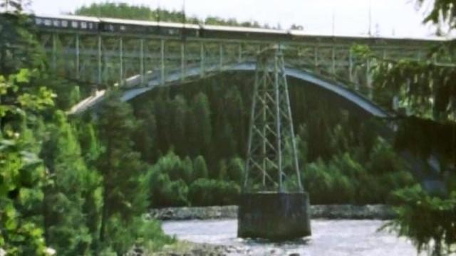 Der Lapplandpfeil (2)