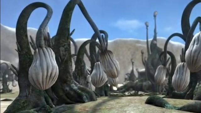 Garden Of Vanishing
