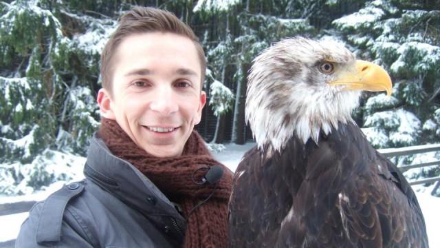 Vögel können mehr als fliegen