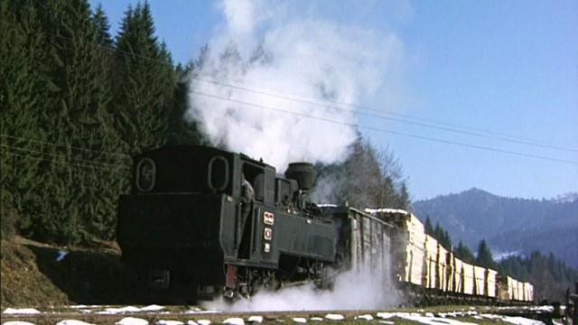 Waldeisenbahn in den Karpaten