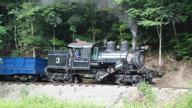 Almost Heaven, West Virginia – Waldbahndinos in Aktion