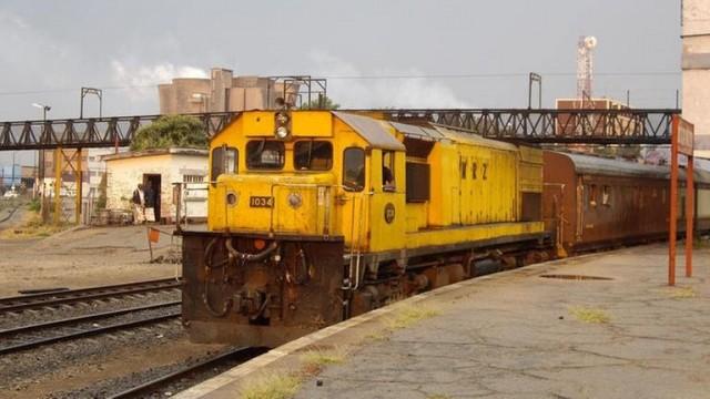 Von Tausendfüßlern, Elefanten und Löwenbabys – Shongololo-Express (1)