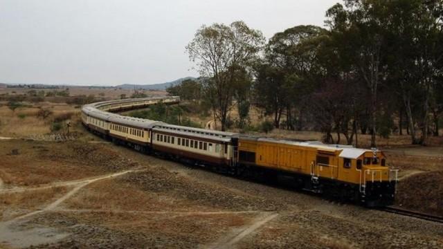 Von Springböcken, Nashörnern und gefleckten Hunden – Shongololo-Express (2)
