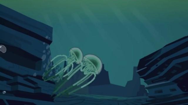 Jellyfish Jam