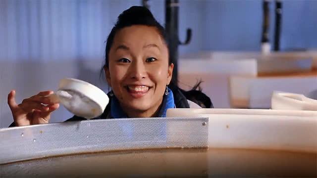 Farming Japan's Favourite Fish