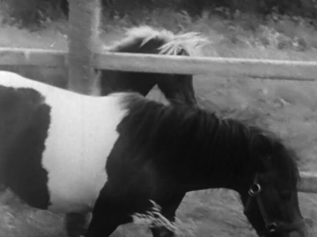 Le Ranch