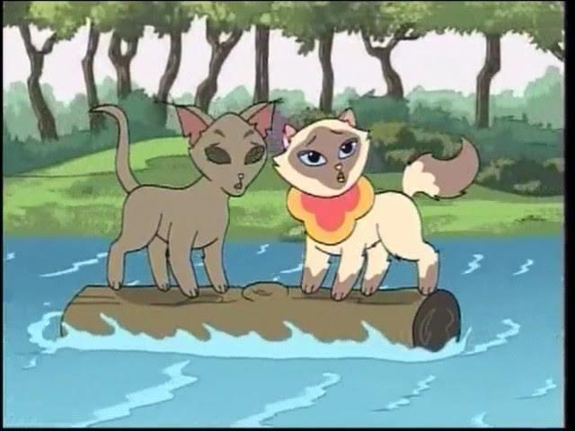 Tribal Cats / Sagwa's Swan Song