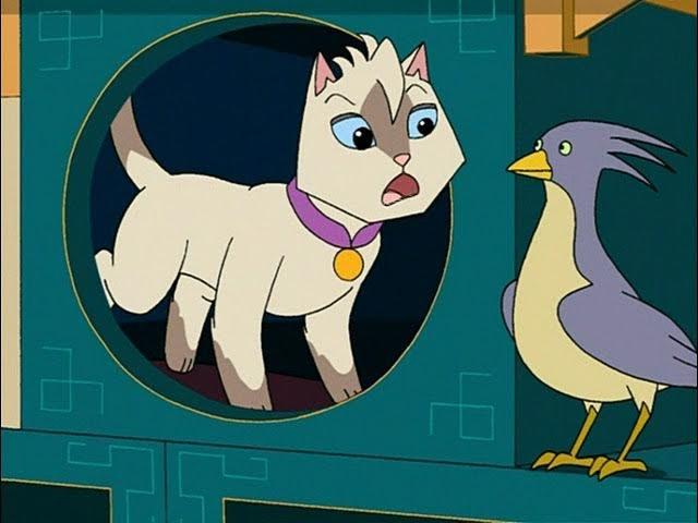 Tough Guy Dongwa / The Competition