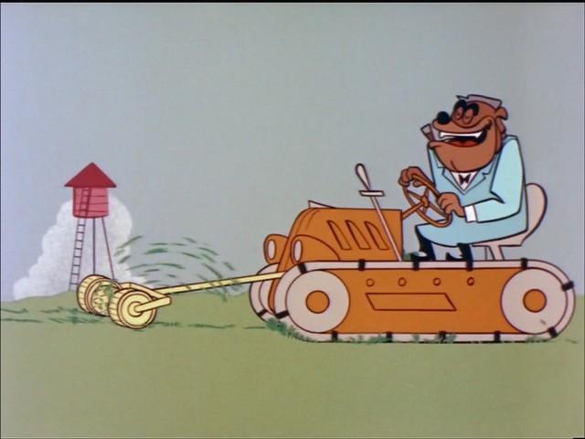 Felix's Prize Garden