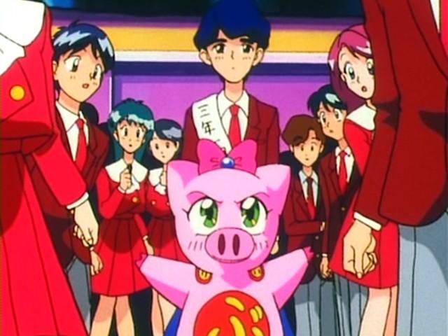 Student Council's Election