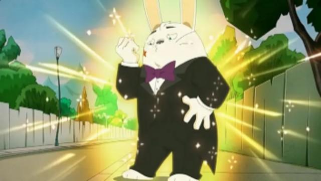 Rabbits prefer gentlemen