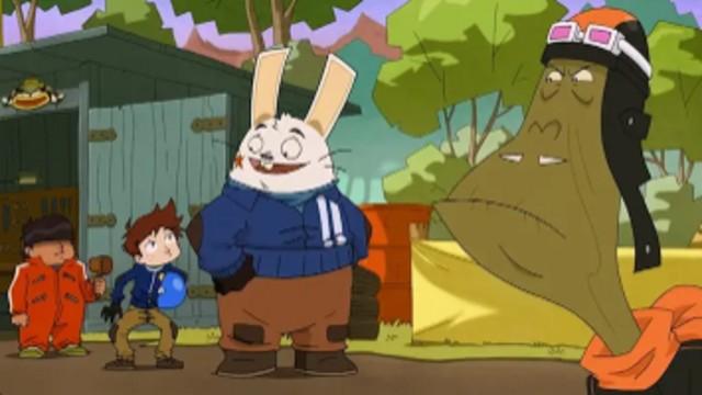 Tortoise and harebrained