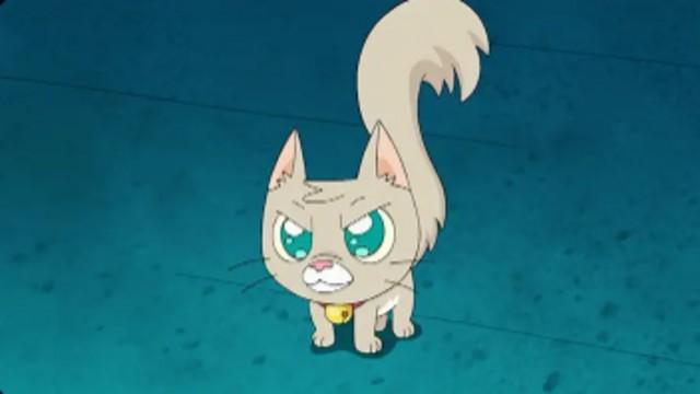 Revenge of the kitty cat