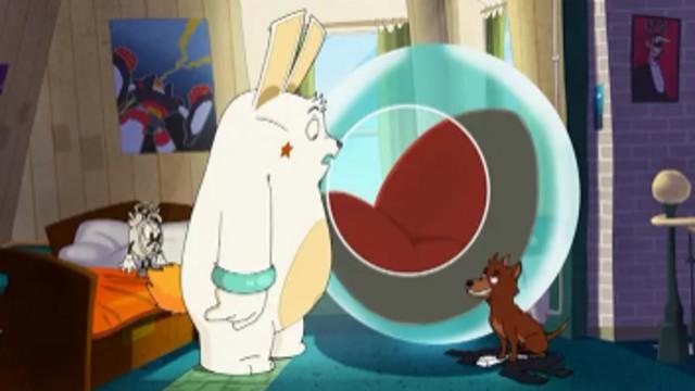 A dog is a rabbit's best friend