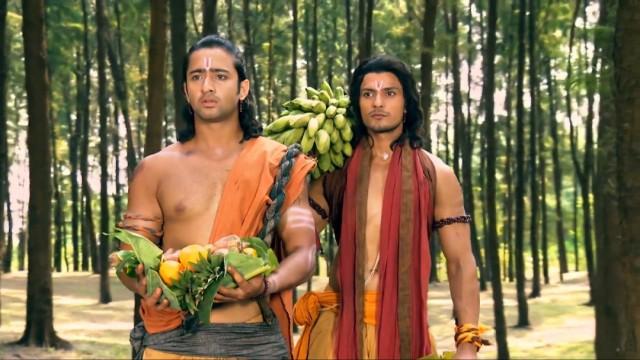 The Pandavas live in the forest