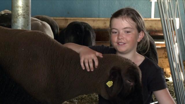„Mena“ - Ein Schweizer Hirtenmädchen