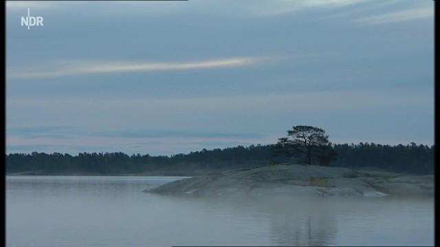 Insel