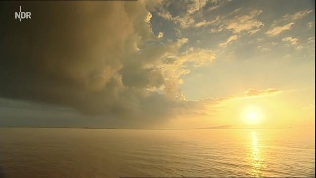 Mississippi, der Fluss im Meer