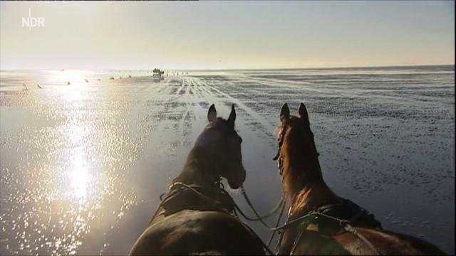 Nordsee