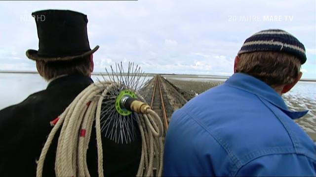 Friesland – Weite, Wellen und noch Watt