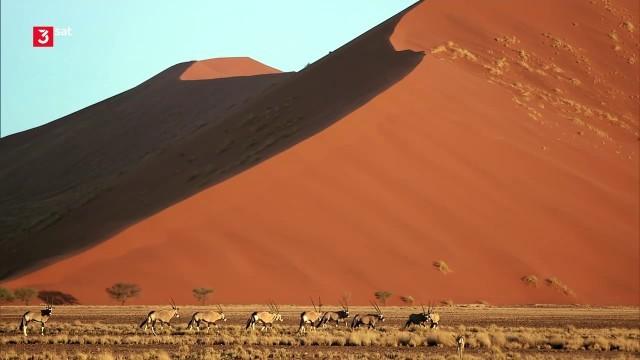Wüste Küste Namibia